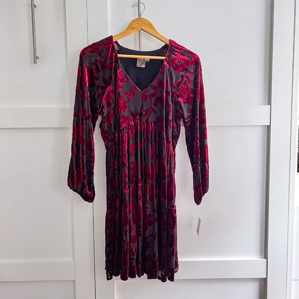NWT Velvet Burnout dress by Taylor | US10